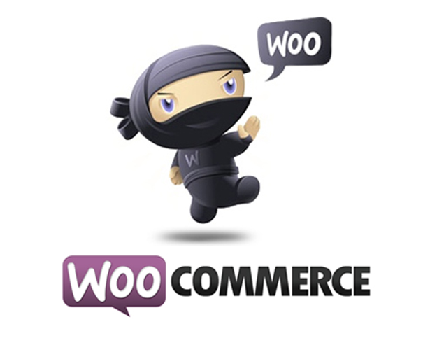 extra stock option in woocommerce
